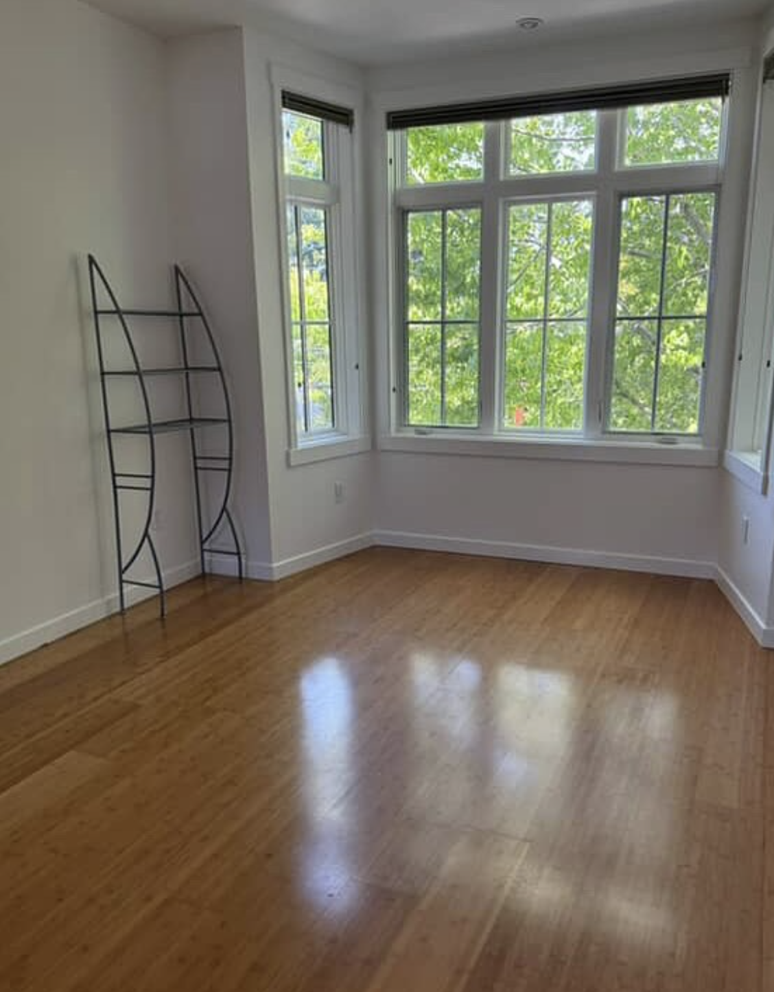 Furnished Single Right By Campus