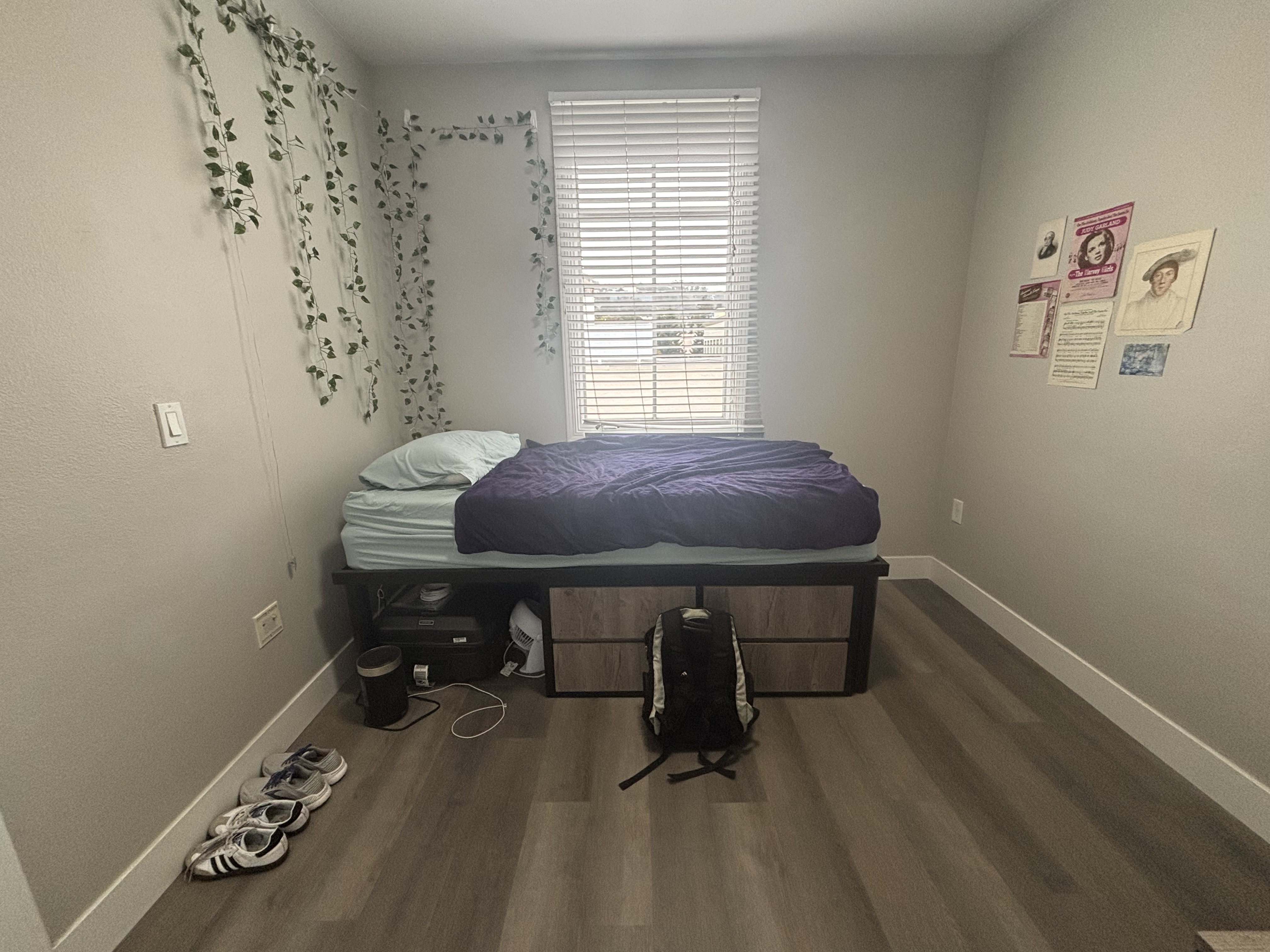 Cozy Single in Downtown